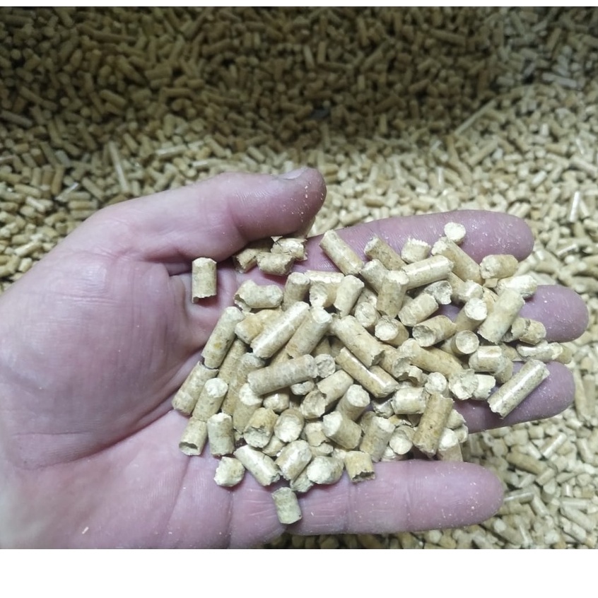 Kit Coelho Educado - Bandeja Sanitário/Banheiro + 2kg Granulado - Imagem 7