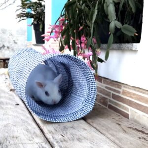 Túnel Interativo para Coelhos e Porquinhos de Índia