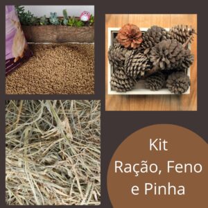 Kit Coelho Feliz GG - Ração Feno Pinha
