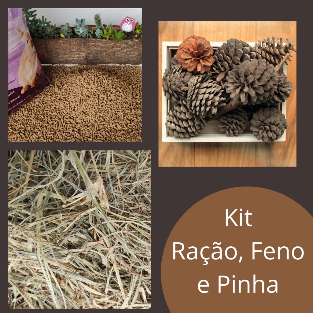 Kit Coelho Feliz GG - Ração Feno Pinha