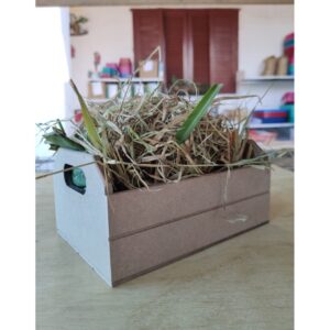 Porta Feno Mini Caixote - Coelhos e Roedores