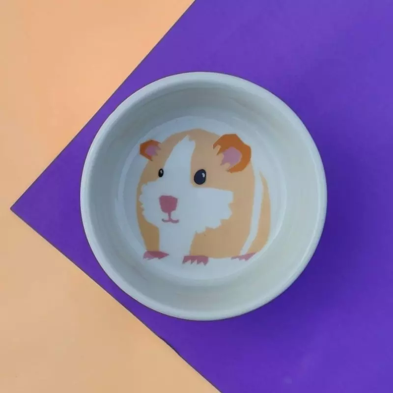 Comedouro de Porcelana Guinea Pig Porquinho da India e Roedores - 175ml - Imagem 2