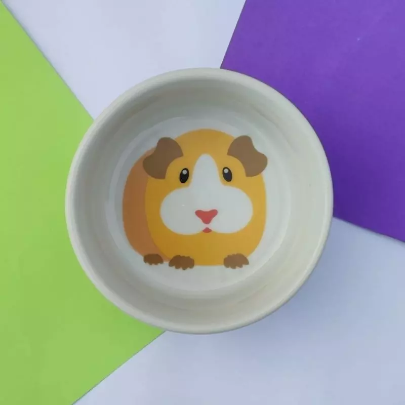 Comedouro de Porcelana Guinea Pig Porquinho da India e Roedores - 175ml - Imagem 5