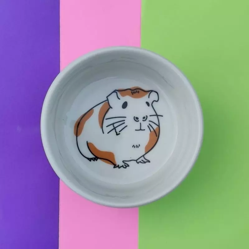 Comedouro de Porcelana Guinea Pig Porquinho da India e Roedores - 175ml - Imagem 4