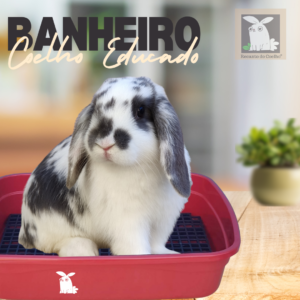 Bandeja Sanitária Banheirinho Pet Para Coelho e Porquinho da Índia