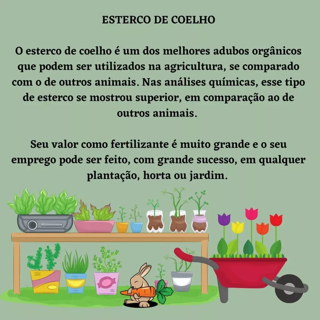 Biofertilizante Orgânico - Chorume - Adubo Liquido - 100% Natural - 500ml - Imagem 4