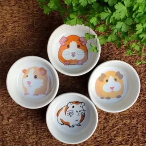Comedouro de Porcelana Guinea Pig Porquinho da India e Roedores - 175ml