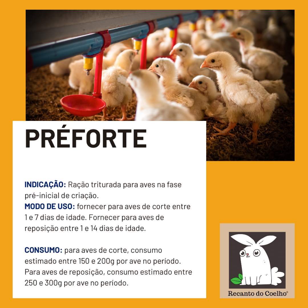 Ração ADM do Campo OVOS (POSTURA) - 05Kg - Imagem 2