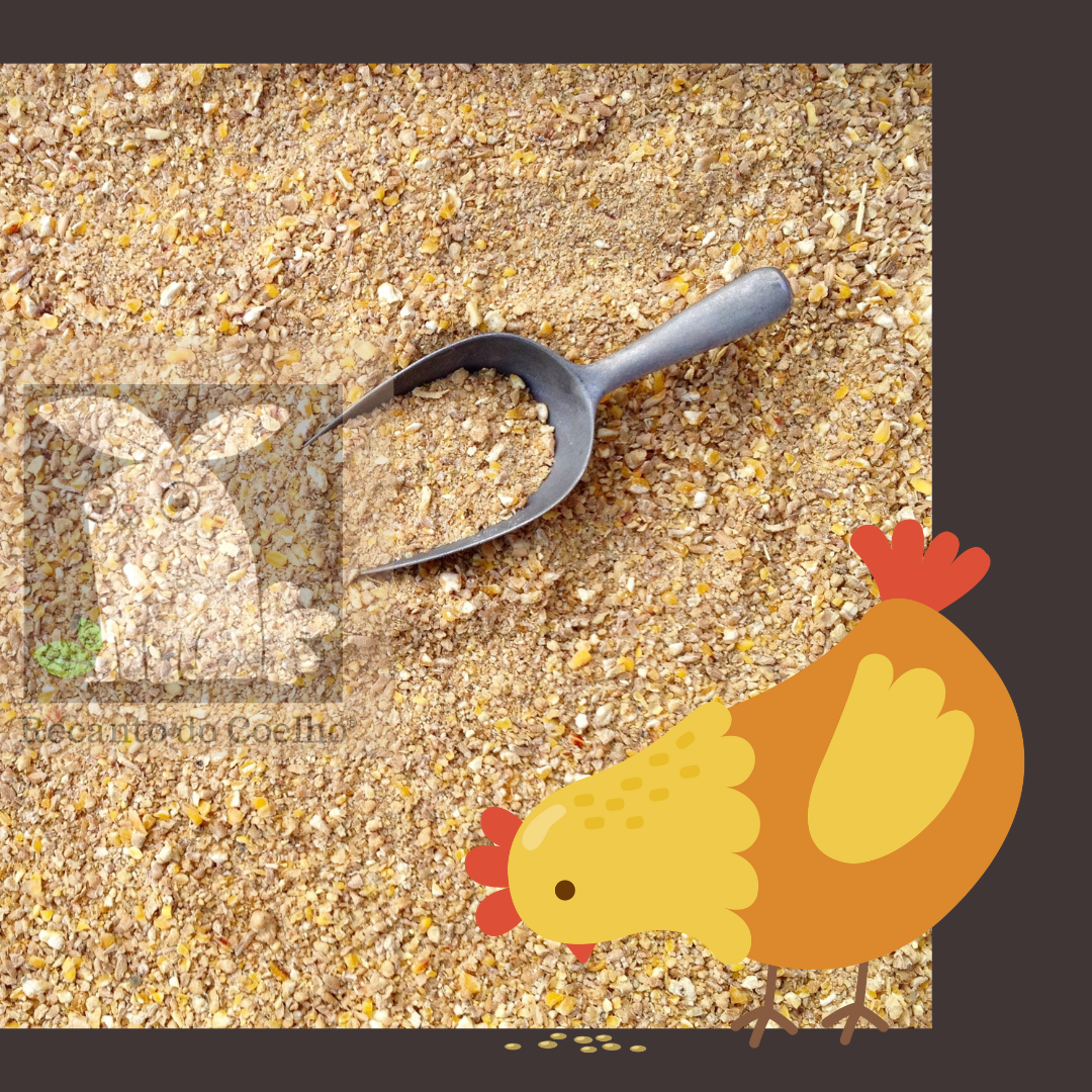 Ração ADM Do Campo AVES EM CRESCIMENTO (INICIAL Pintinho) - 5Kg - Imagem 3