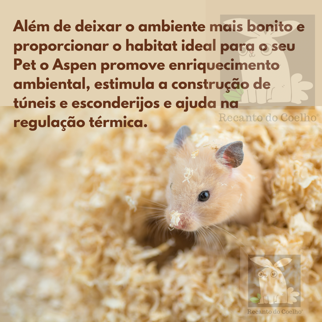 Aspen SAFE 3/4-S para Roedores e Reptéis 12,5Kg - Imagem 5