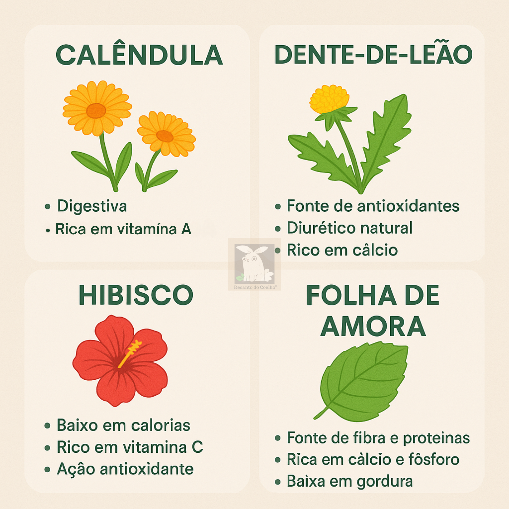 Multi Mix - Flores e Folhas Desidratadas - Imagem 8